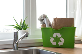 5 steps to recycling at home